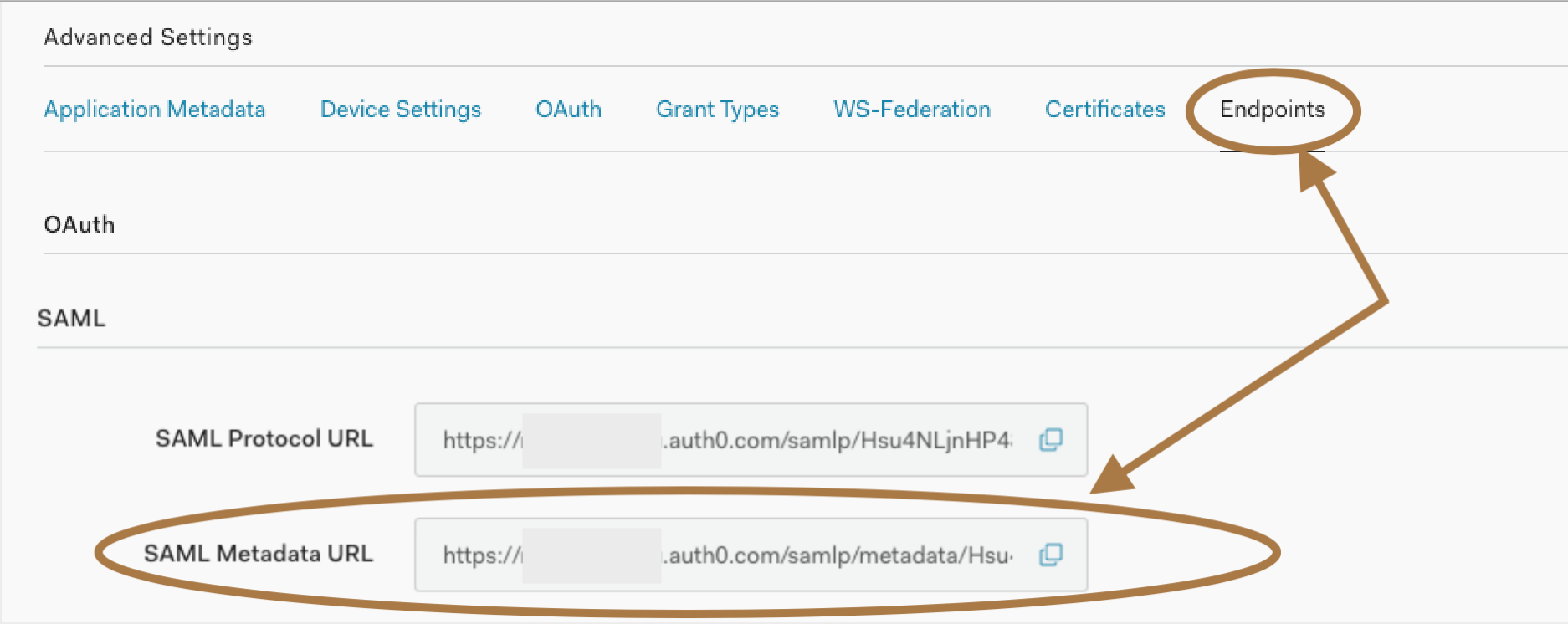 auth0_saml_endpoints.png